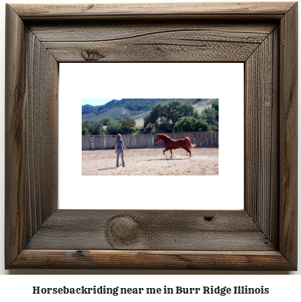 horseback riding near me in Burr Ridge, Illinois